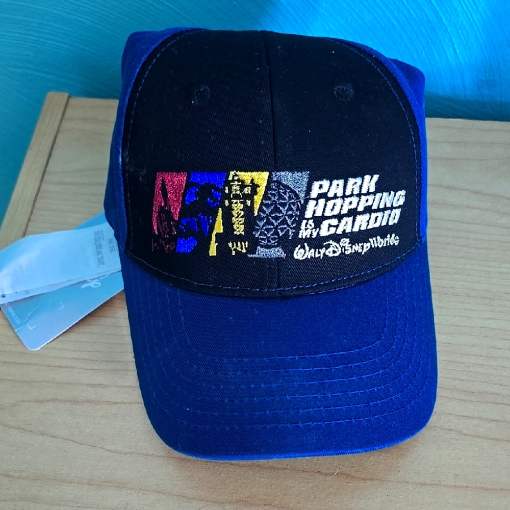 Disney Park Hopping Hat - Black and Blue
